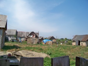 100_8042