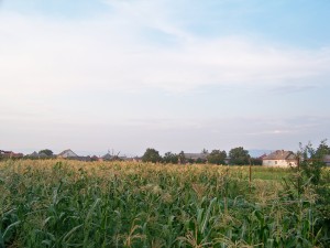 100_8277