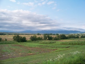 100_8622